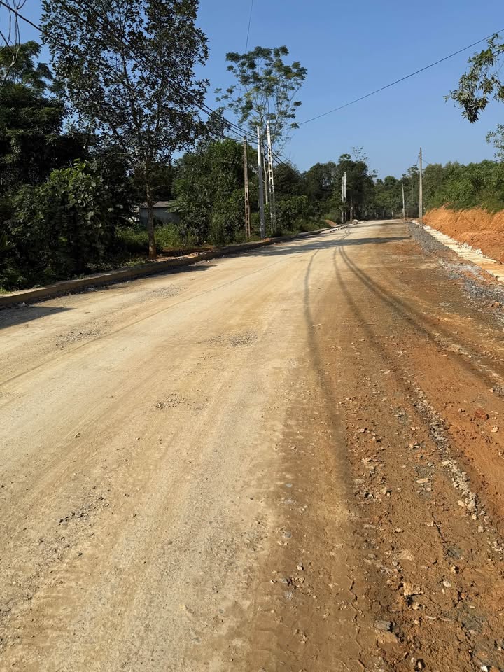 Đất thổ cư Phú Hộ 375m² giá 2.1 tỷ - Cơ hội đầu tư sinh lời!