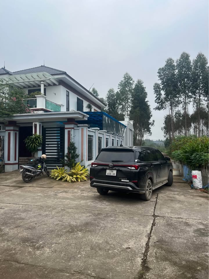 Đất đấu giá đồi Cây Đa Chu Hóa 300m² giá 3 tỷ - Đầu tư lý tưởng cho biệt thự sang trọng!