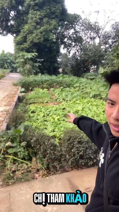 Đất nền lô góc 180m² tại xã Phú Cát, giá mềm cho nhà đầu tư!