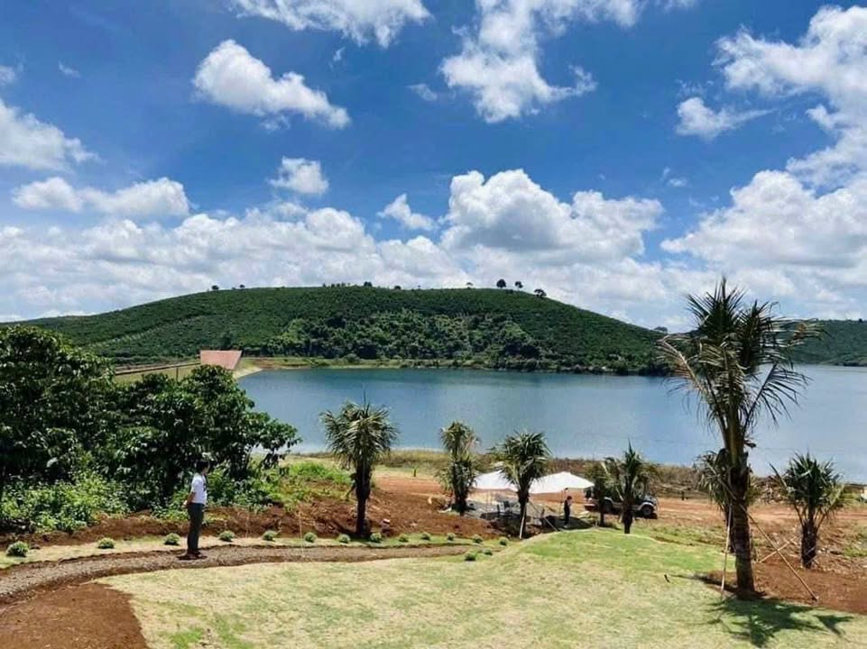 Đất rừng sản xuất Hòa Nhơn 50.000m² giá 8 tỷ - Sổ hồng riêng, pháp lý rõ ràng!