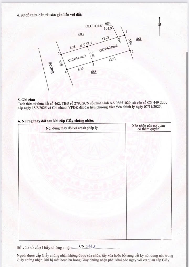Đất nền Tự Lạn, Việt Yên 100m² giá dưới 900 triệu - Vị trí đắc địa, ô tô vào tận nơi!