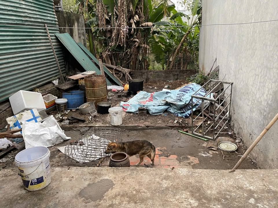 Đất nền Đại Áng, Thanh Trì 40m² chỉ 2 tỷ - Khu vực phát triển mạnh mẽ!