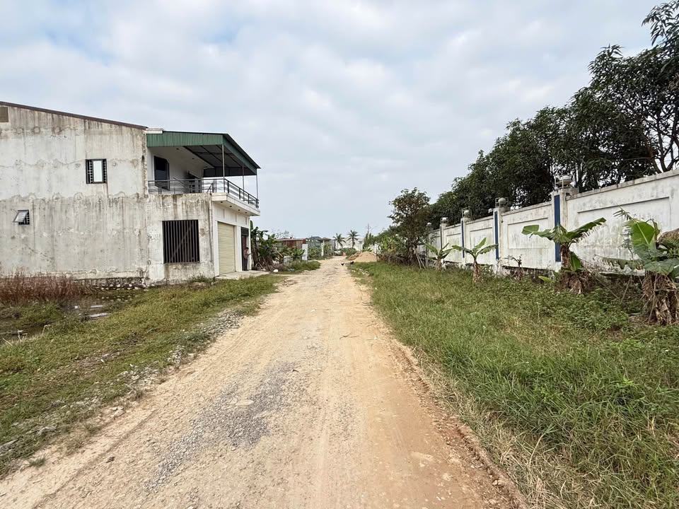 Đất nền đường Mai Lão Bạng, Thạch Trung 140m² giá 3 tỷ - Cơ hội đầu tư tuyệt vời!