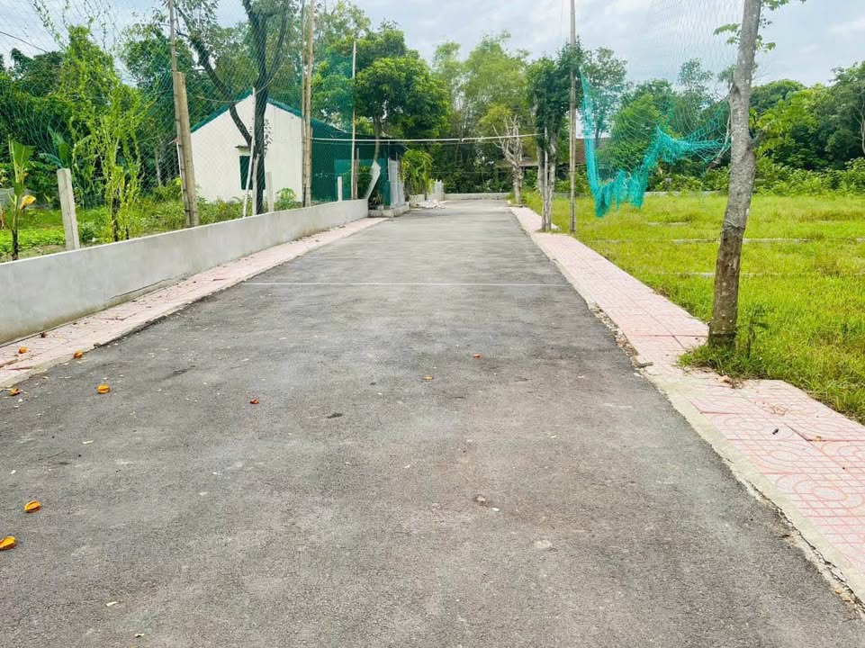 Đất nền Tân Lâm Hương 91m² giá 200 triệu - Cơ hội đầu tư hấp dẫn!