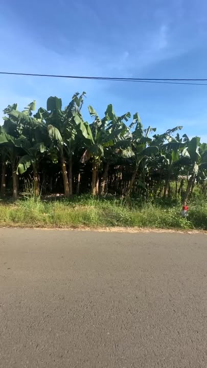 Đất nền Nghĩa Thành 1075m² giá chỉ 1.613 tỷ - Cơ hội đầu tư hiếm có!