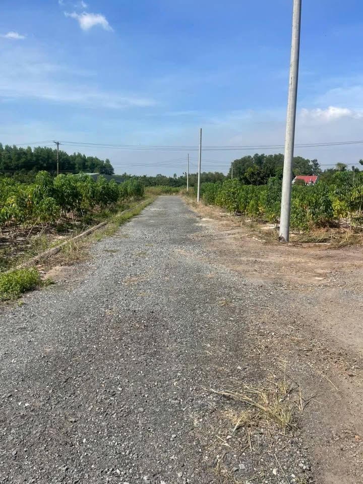 Đất 2 mặt tiền Phú Mỹ 129.63m² giá chỉ 300 triệu - Cơ hội tuyệt vời cho công nhân!