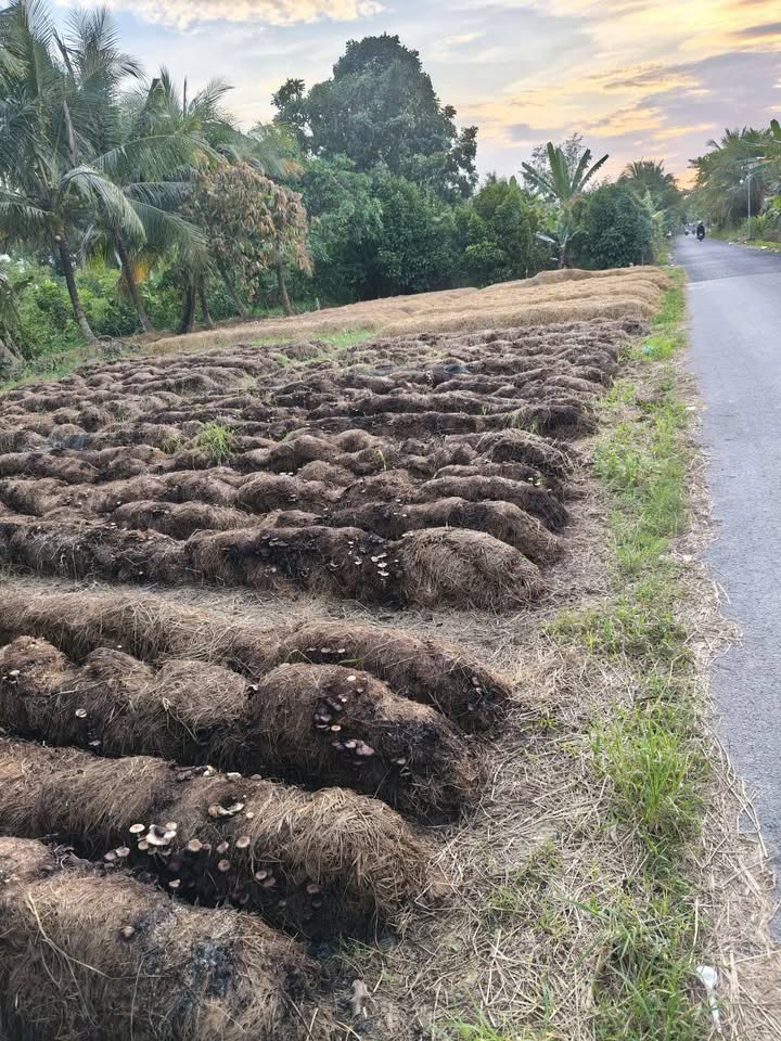 Đất nền mặt tiền Nguyễn Viết Xuân, Thới An Đông, Cần Thơ 70m² giá 150 triệu - Vị trí kinh doanh lý tưởng!