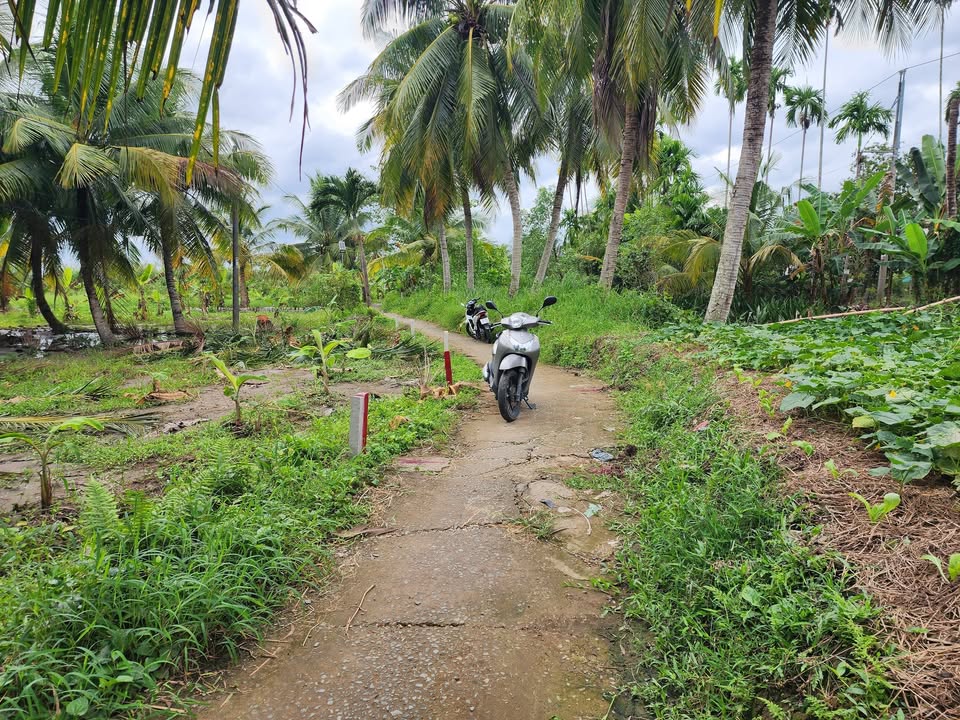 Đất nền thổ cư xã Phong Điền, Cần Thơ 128m² giá chỉ 470 triệu - Đầu tư sinh lời ngay!