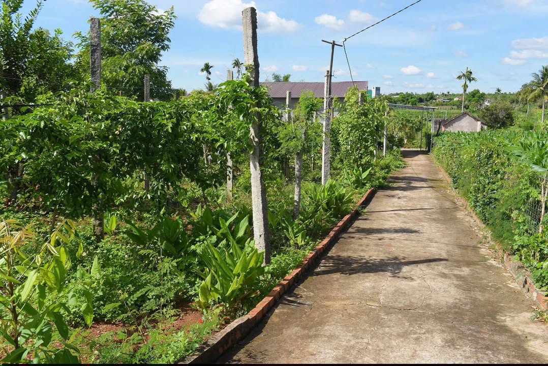 Đất thổ cư 400m² tại Phú Xuân, Đắk Lắk - Giá chỉ 2.8 tỷ, thương lượng ngay!