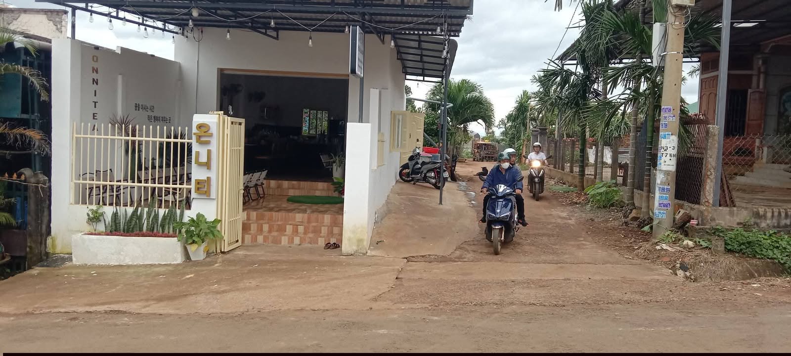 Đất nền kinh doanh sầm uất tại Tam Giang, Đắk Lắk - 280m² chỉ 1.3 tỷ!