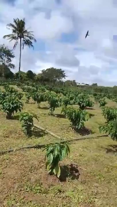 Đất thổ cư xã Phú Xuân 1ha3 giá 2.2 tỷ - Đầu tư sinh lời ngay!