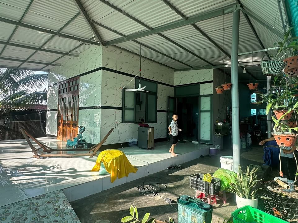 Đất vườn Thanh Long + Nhà cấp 4 mái Nhật 9952m² giá 2.75 tỷ - Đầu tư sinh lời ngay!