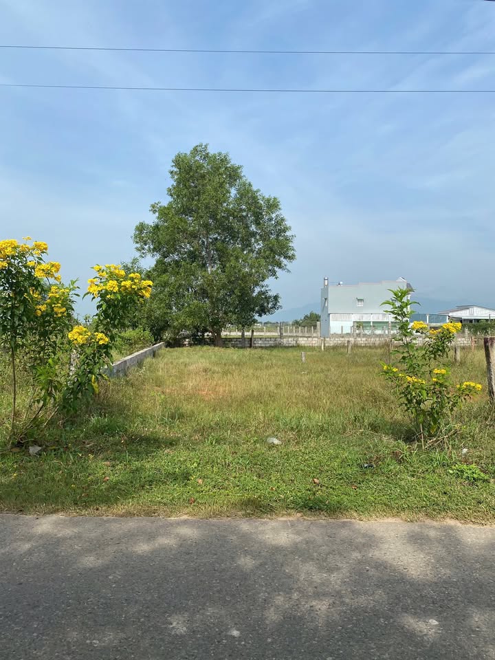 Đất nền Thôn 1, xã Hàm Liêm 150m² giá 8xx triệu - Cơ hội đầu tư sinh lời vượt trội!