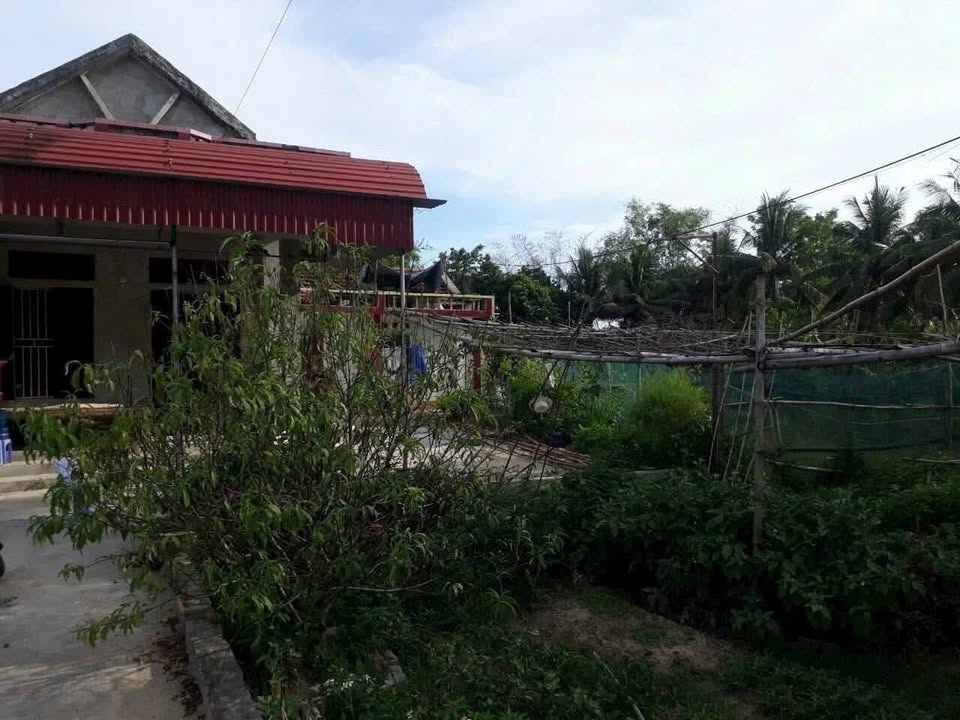 Đất nông nghiệp Yên Thọ Như Thanh 3183m² giá 1.2 tỷ - Cơ hội đầu tư tuyệt vời!