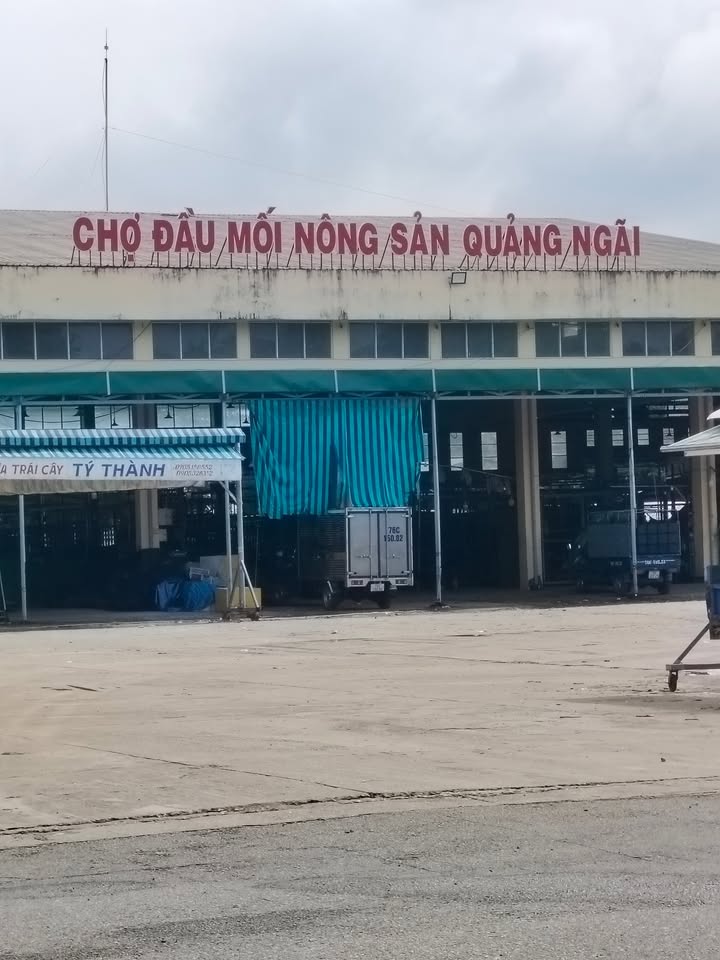 Đất mặt tiền Lý Chiêu Hoàng 100m² giá thỏa thuận - Vị trí kinh doanh đắc địa!