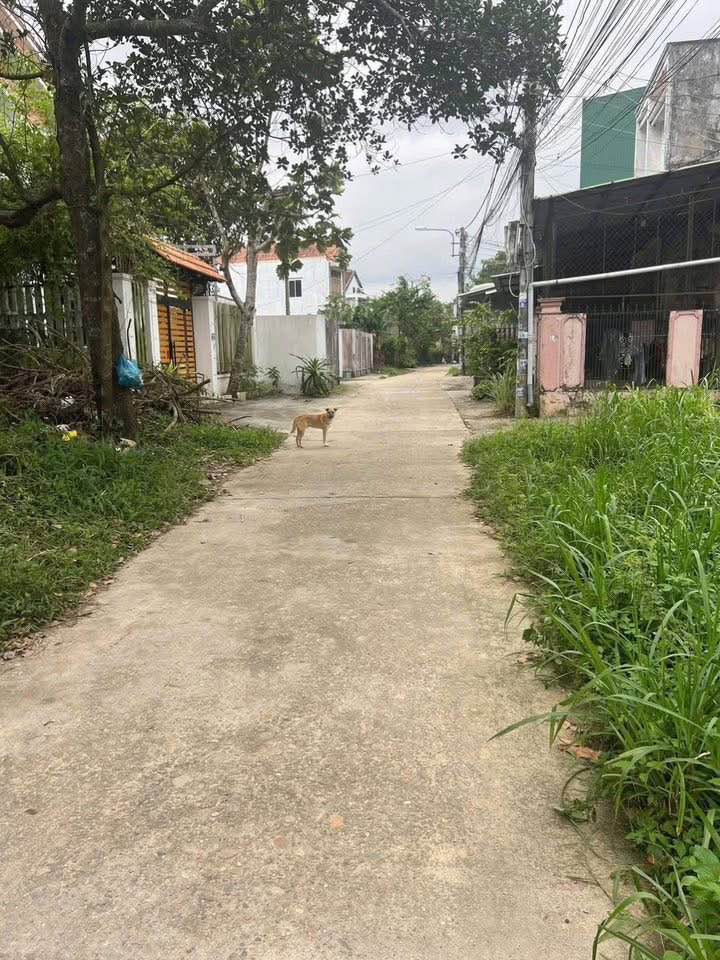 Đất nền tại Hẻm 150 Phan Bội Châu, TP. Quảng Ngãi, 125m² - Giá chỉ 500 triệu!