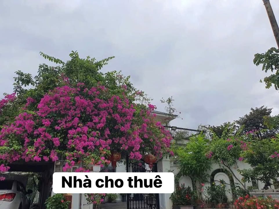 Biệt thự nhà vườn khu ADB Tam Kỳ 700m² giá 17 triệu - Không gian sống lý tưởng!