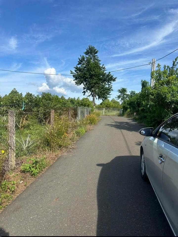 Đất nền Đá Bạc, Châu Đức 260m² chỉ 780 triệu - Sổ hồng chính chủ!