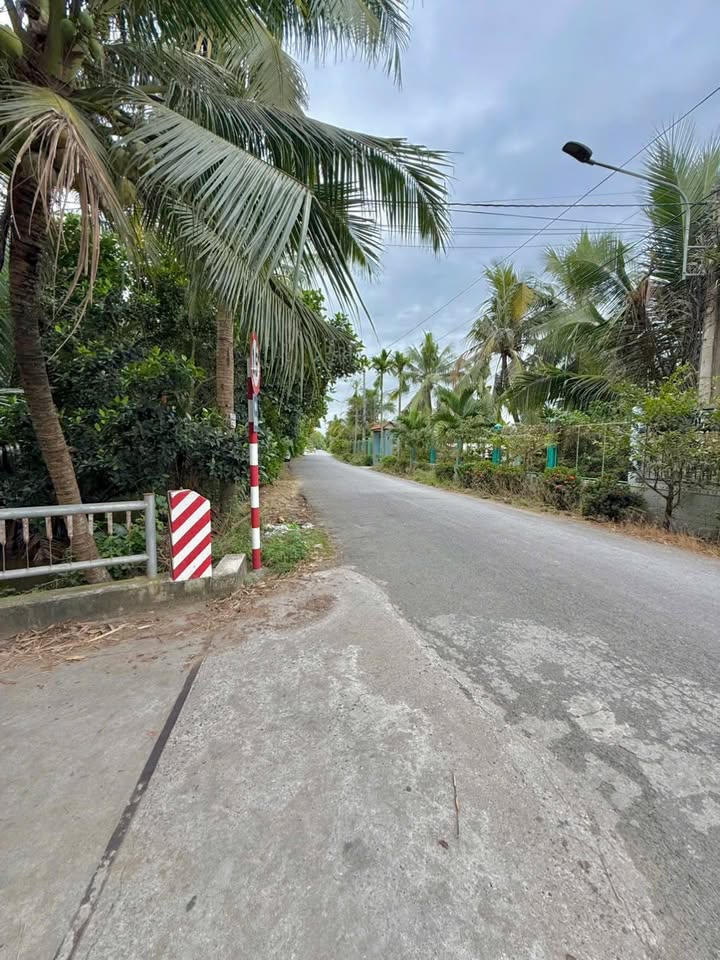 Đất nền Mỹ Phong, Mỹ Tho 100m² giá 800 triệu - Đầu tư sinh lời tuyệt vời!