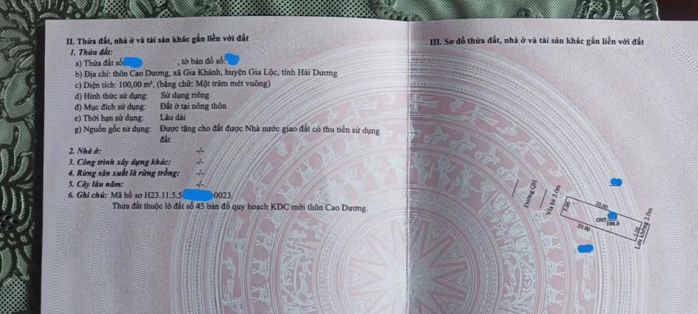 Đất mặt đường Cao Dương, Gia Lộc, Hải Dương 100m² - Kinh doanh thuận lợi!