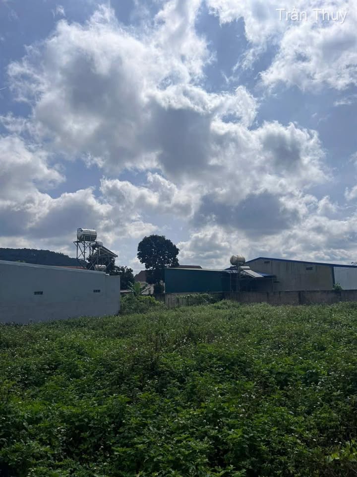 Đất Đạ Ròn 672m² giá 2.6 tỷ - Đầu tư sinh lời, vị trí đẹp!