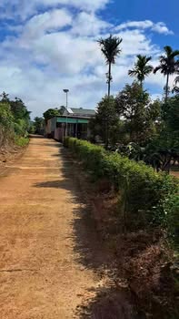 Đất nền 2 mặt tiền xã Ia Hrung 450m² giá 260 triệu - Cơ hội đầu tư hấp dẫn!