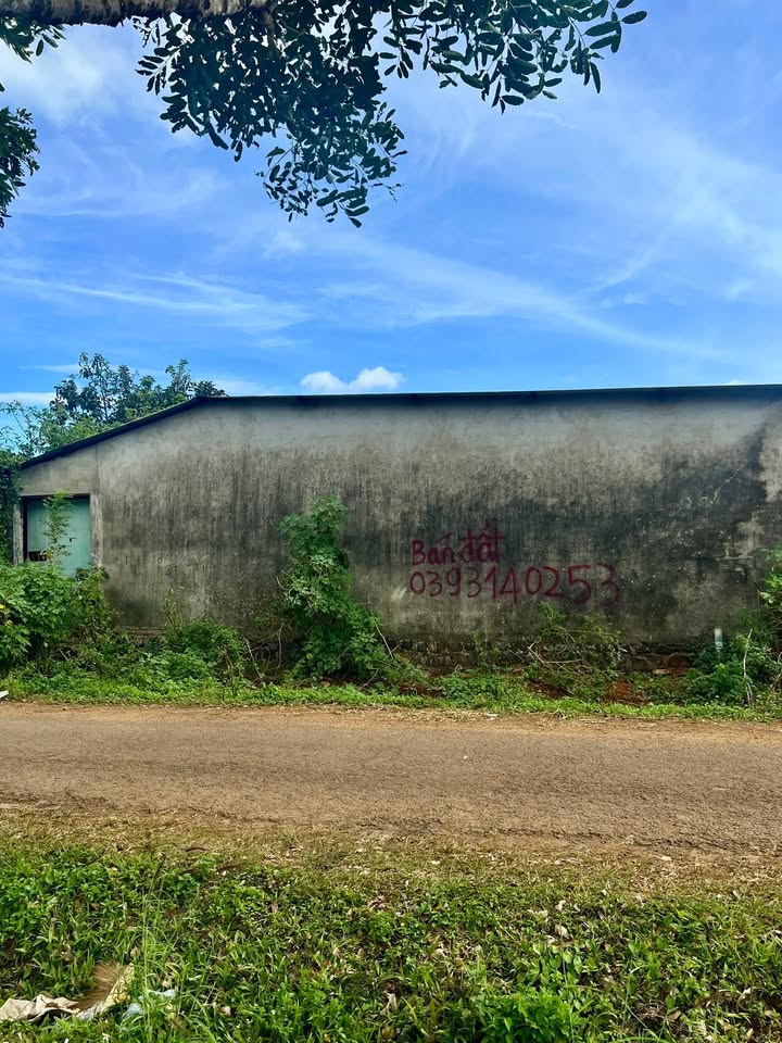 Bán đất trung tâm An Phú, Pleiku 140m² - Đường rộng, an ninh tốt!