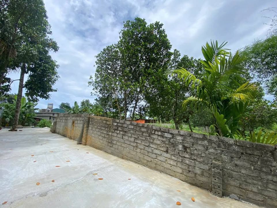 Đất thổ cư tại Thôn Đầm Đa, Lạc Thủy, Hòa Bình 1210m² - Sổ hồng chính chủ, giá thỏa thuận!