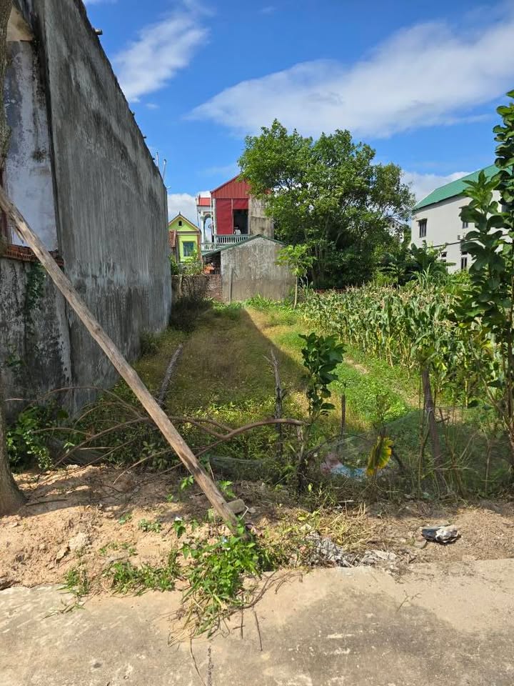 Đất thổ cư Ninh Xá, Bắc Ninh 120m² giá 3.6 tỷ - Cơ hội đầu tư hấp dẫn!