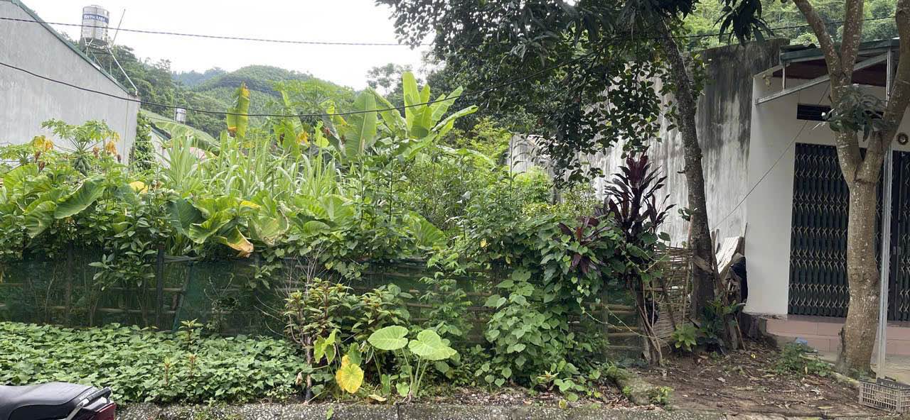 Đất thổ cư Bản Phiệt, Bảo Thắng 141m² giá 1.43 tỷ - Đầu tư sinh lời ngay!