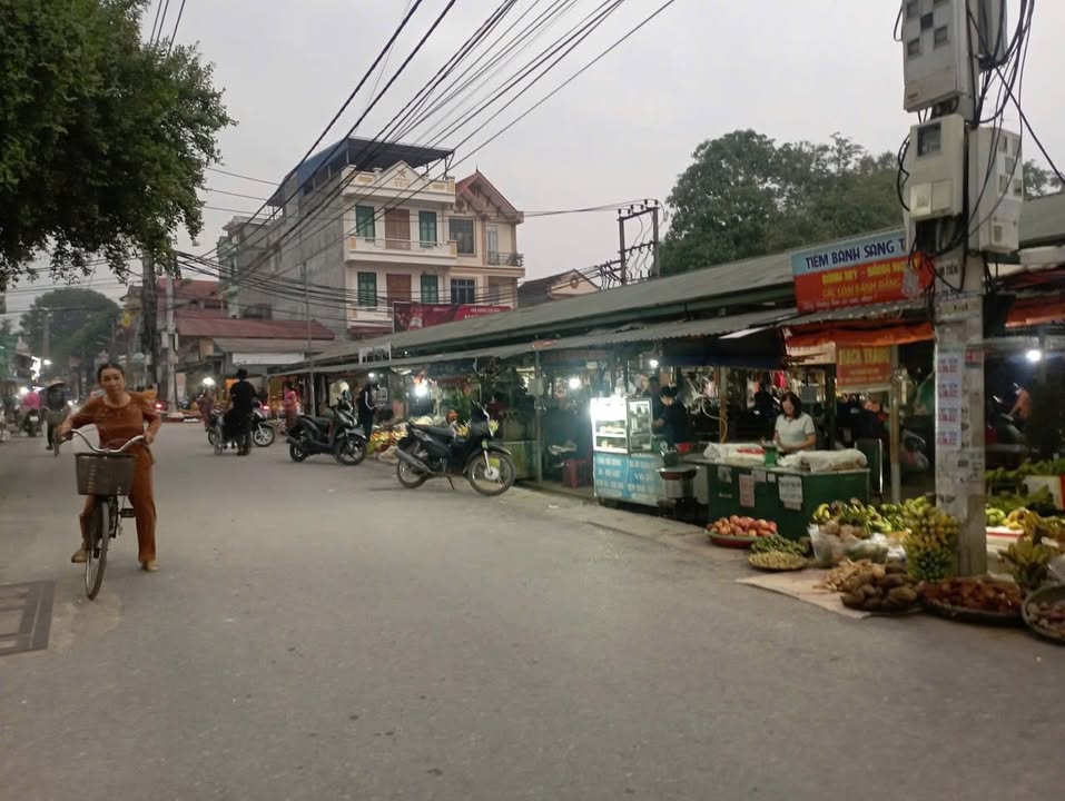 Đất nền 40m² tại Mai Hiên, Đông Anh giá 4 tỷ - Cơ hội đầu tư vàng!