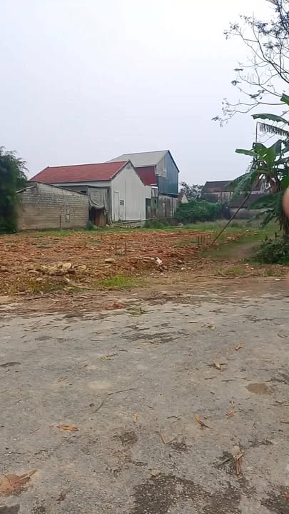 Đất nền Lương Sơn Đô Lương 134m² chỉ 1.5 tỷ - Lô góc mặt đường nhựa rộng rãi!