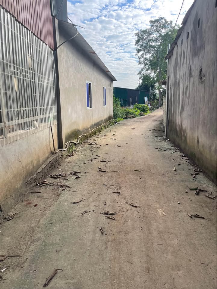 Đất ở phường Mỹ Lâm 80m² giá chỉ 1.2 tỷ - Cách chợ vài bước chân!