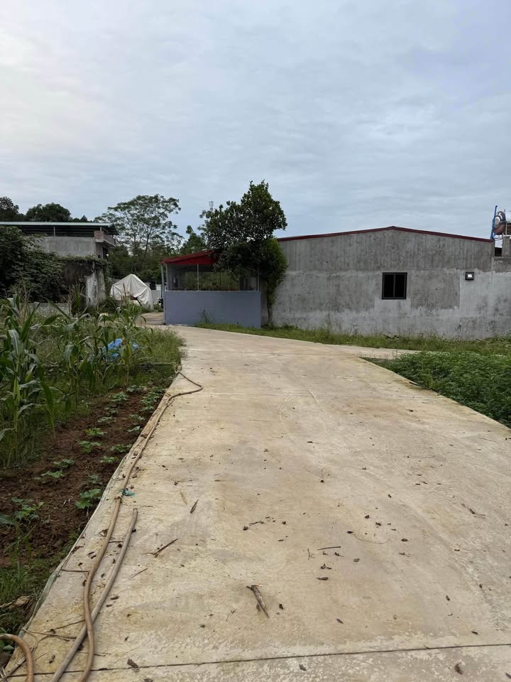 Đất thổ cư 120m² tại Phường Minh Xuân - Giá chỉ 1.6 tỷ, pháp lý rõ ràng!