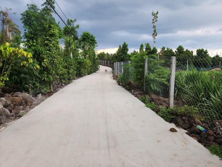 Đất nền 598m² Phường Bầu Sen - Long Khánh - Giá 1.05 tỷ - Cơ hội đầu tư tuyệt vời!