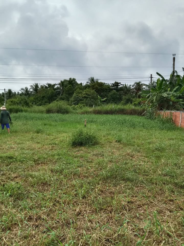 Đất nền Vĩnh An, Ba Tri 346m² giá 1.5 tỷ - Cơ hội đầu tư hấp dẫn!