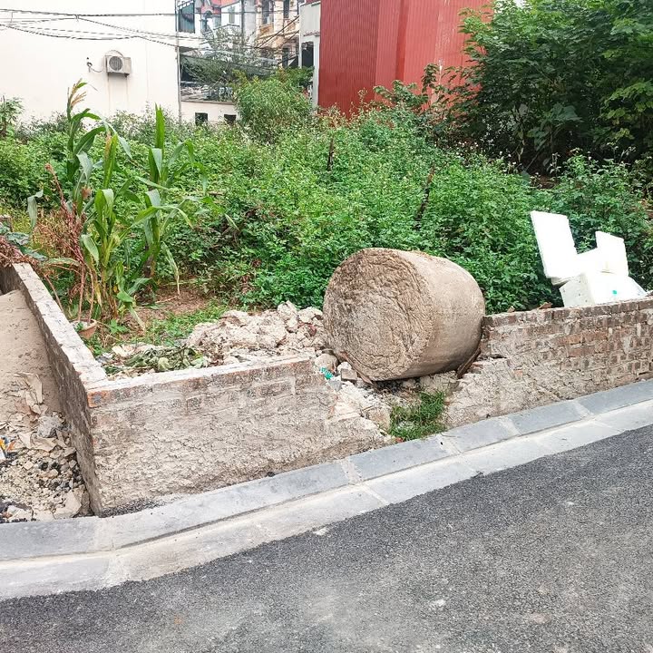 Đất Phúc Thọ Mai Lâm 46m² giá 5 tỷ - Ngõ nông ô tô vào tận nhà!