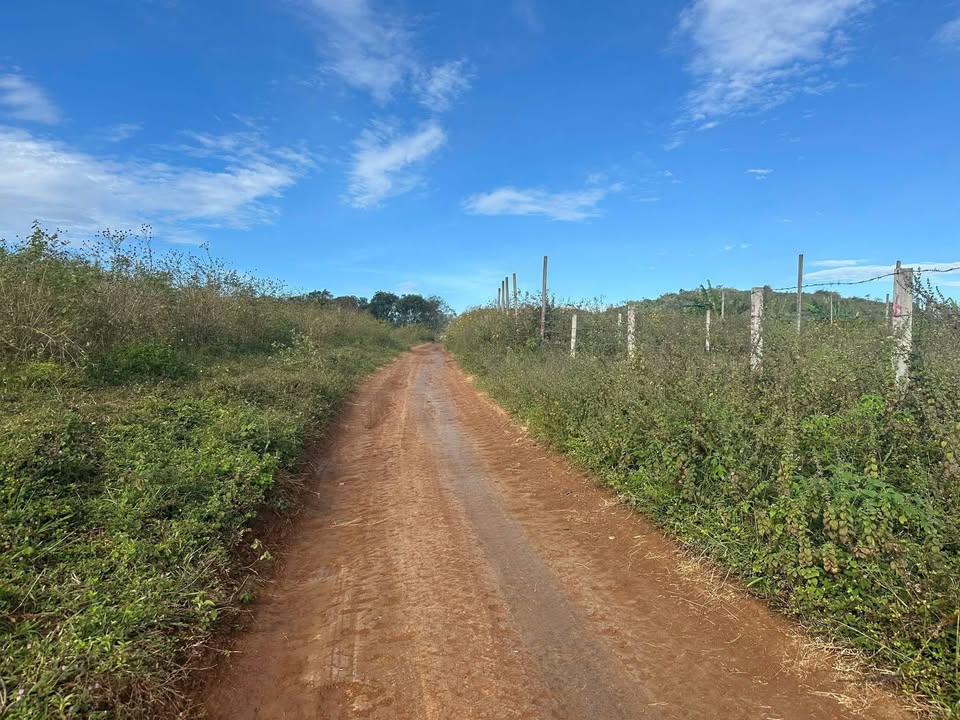 Đất nền Lý Chính Thắng, Hội Phú 500m² giá chỉ 700 triệu - Đầu tư sinh lời ngay!