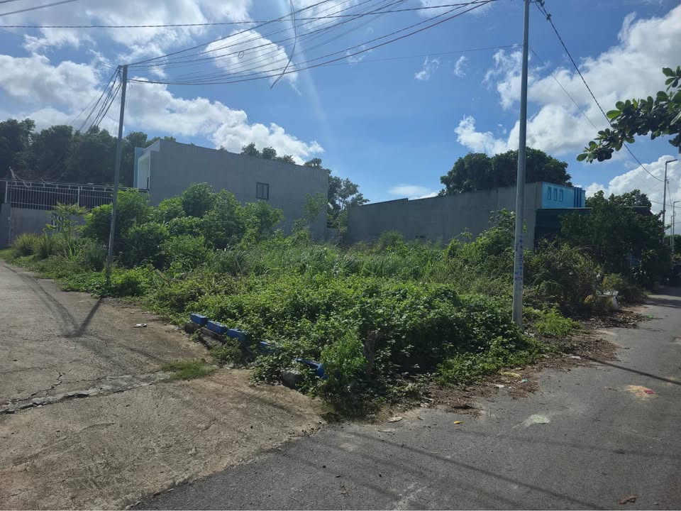 Đất nền Tam Phước, Long Điền 390m² giá 2.8 tỷ - Đầu tư lý tưởng!