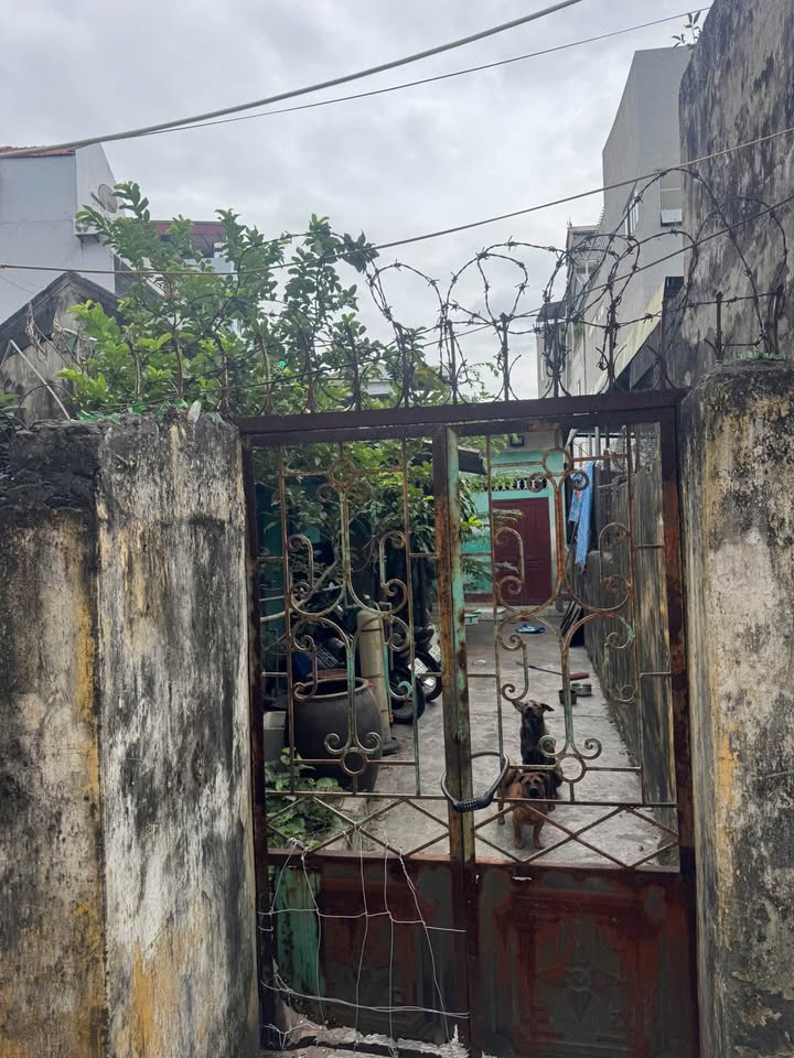 Nhà cấp 4 đường Tô Hiệu, Cẩm Trung 141m² giá 1.3 tỷ - Đầu tư sinh lời ngay!