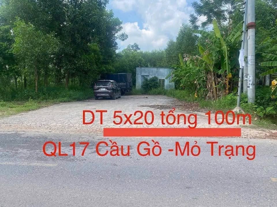 Đất thổ cư Tam Tiến Yên Thế Bắc Giang 100m² giá 1,7 tỷ - Kinh doanh tốt ngay mặt đường