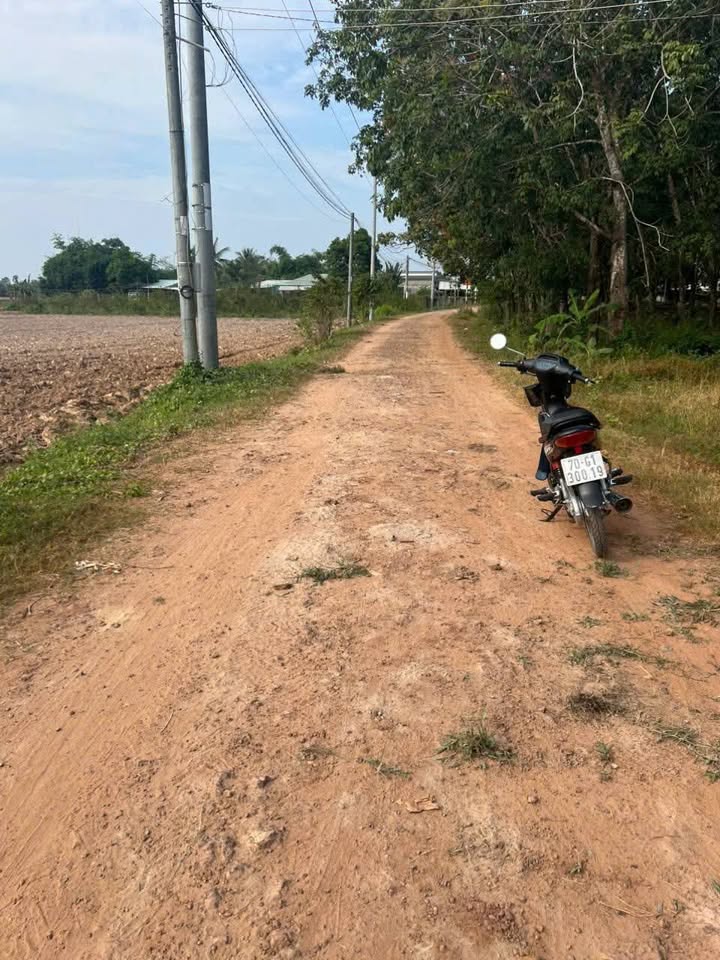 Đất nền Trí Bình, Châu Thành, Tây Ninh 1290m² - Đường nhựa thông thoáng, giá thỏa thuận!