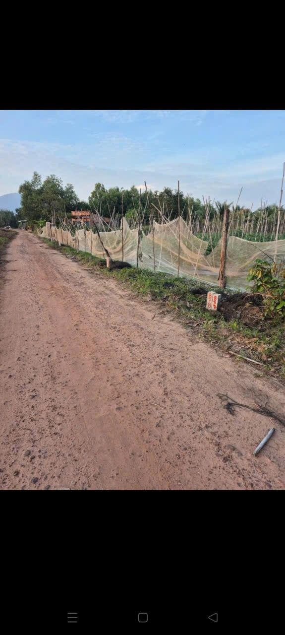 Đất nền phường Ninh Thạnh, Tây Ninh 185m² giá chỉ 300 triệu - Đầu tư sinh lời ngay!