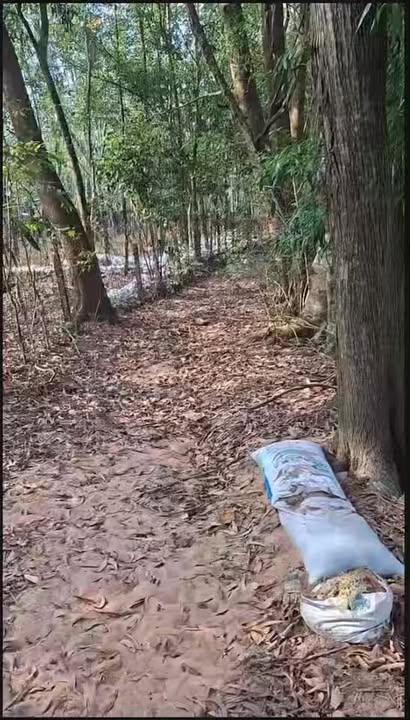 Đất thổ cư Gò Dầu Tây Ninh 2450m² giá 2.2 tỷ - Cơ hội đầu tư tuyệt vời!