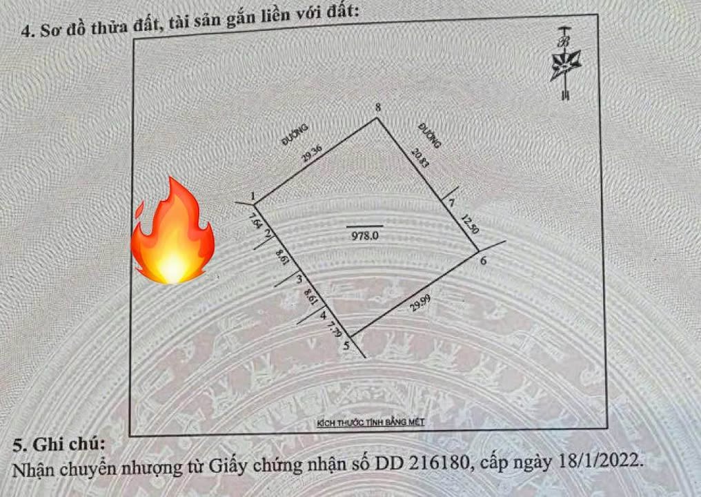 Đất Nền Nghi Phong 1000m² - Cơ Hội Đầu Tư Hiếm Có!
