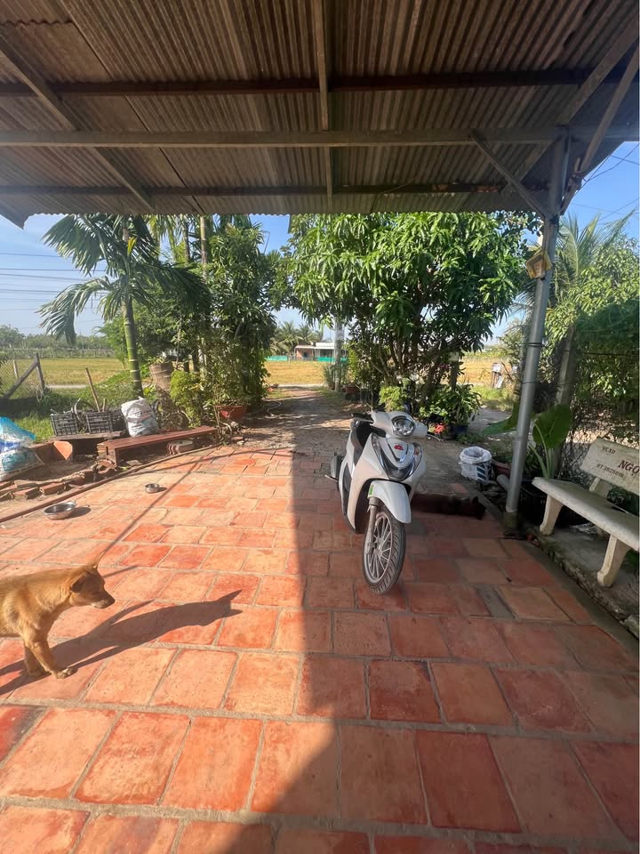 Đất nền Ninh Phú, Tây Ninh 2534.11m² giá 1.35 tỷ - Đầu tư sinh lời hấp dẫn!