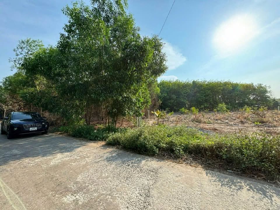 Đất nền Tân Định Bắc Tân Uyên 192m² giá 1 tỷ - Đầu tư sinh lời ngay!