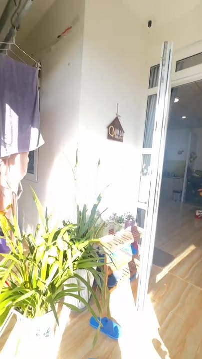 Nhà homestay kinh doanh tại Đà Lạt 50m² giá 1.45 tỷ - View săn mây tuyệt đẹp!