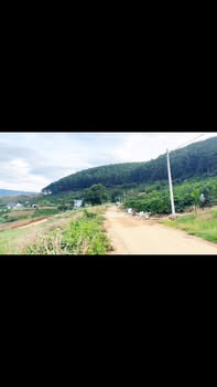 Đất nền Cam Ly Đà Lạt 105m² giá chỉ 699 triệu - Sổ đỏ chính chủ!