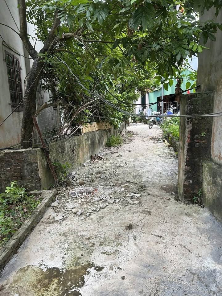 Đất nền 40m² tại Liễu Ngoại - Khánh Hà giá chỉ 2.65 tỷ - Sổ đỏ chính chủ!